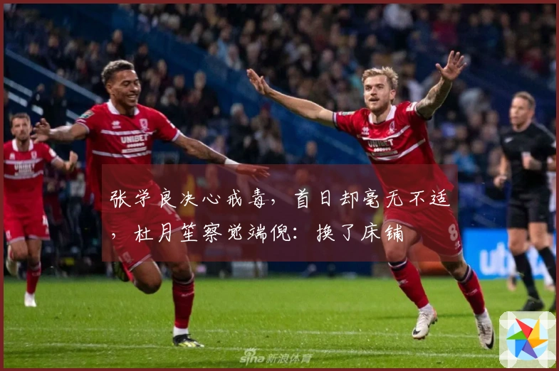 张学良决心戒毒，首日却毫无不适，杜月笙察觉端倪：换了床铺